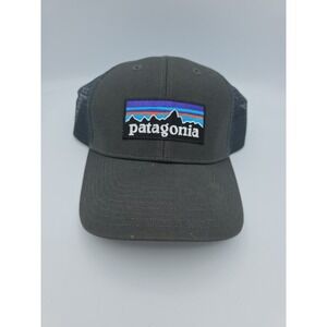 Patagonia Fitz Roy Hat SnapBack Trucker Hat Mesh Gray Hiking Outdoor